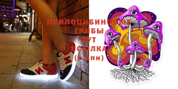 а пвп мука Куйбышев
