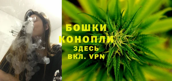 apvp Михайлов