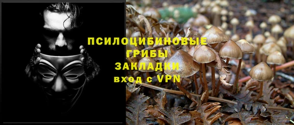 дурь Кулебаки