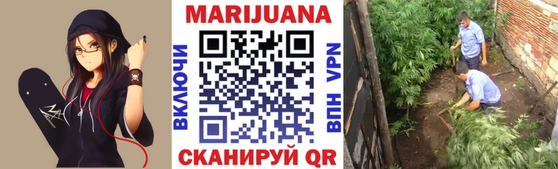 Купить где  Гороховец  Конопля Amnesia 